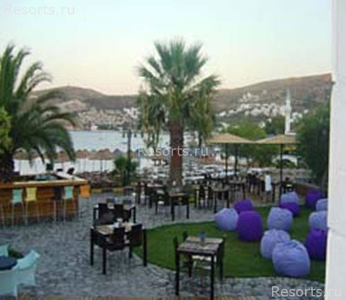 Costa Farilya Deluxe 11